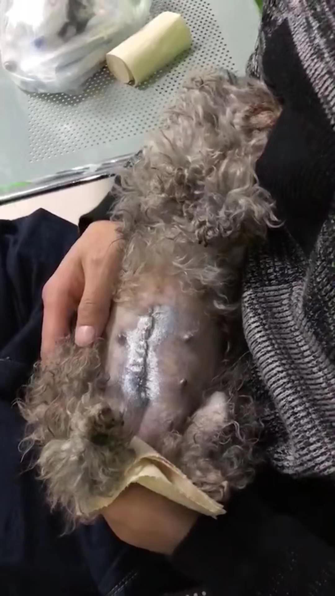 微信圖片_20180109181947.jpg